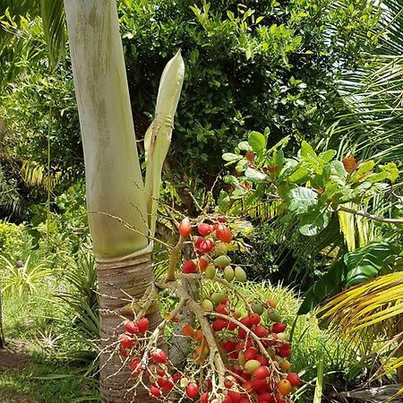 Villa Kaye Mango Soufrière Exterior foto