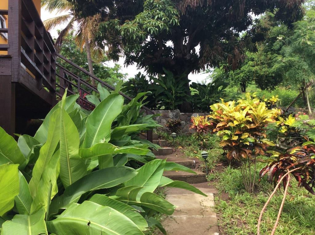 Villa Kaye Mango Soufrière Exterior foto